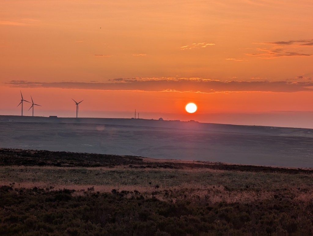 From grassland to&nbsp;peatland