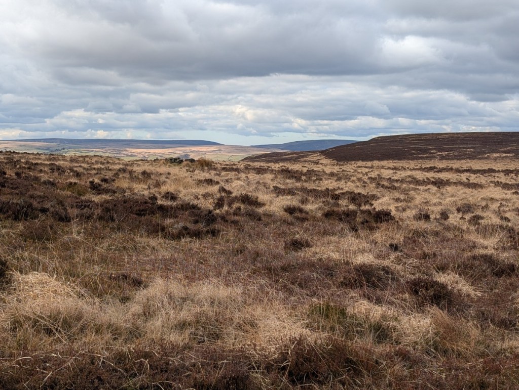 Photograph of the upper moorland at Dimmin Dale, above Hebden Bridge, featuring wide open expanses of moorland grasses and heather in russet and pale gold tones under a grey and cloudy sky.
