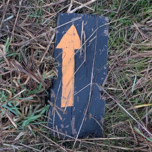 Photograph of a pale orange, upwards pointing arrow. It is painted against a dark blue background on a broken piece of board lying in grass.