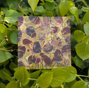Photograph of a small, square mixed media artwork featuring organic mark-making in a colour palette of yellows and deep reds. The artwork is set against a yellow-green foliage.