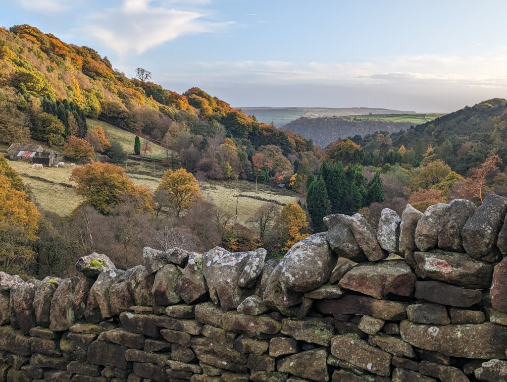 Photograph of an autumnal view from Crimsworth Dean featuring a lichen-studded dry stone wall in the immediate foreground. Behind the wall the landscape is comprised of steep, wooded hillsides with farmland and moorland also visible on the distant tops. The sky is pale blue and intermittently cloudy, with a bank of grey cloud along the horizon. The woodland is a mixture of coniferous and deciduous; some of the trees are displaying vibrant autumnal shades of yellow, green and brown.